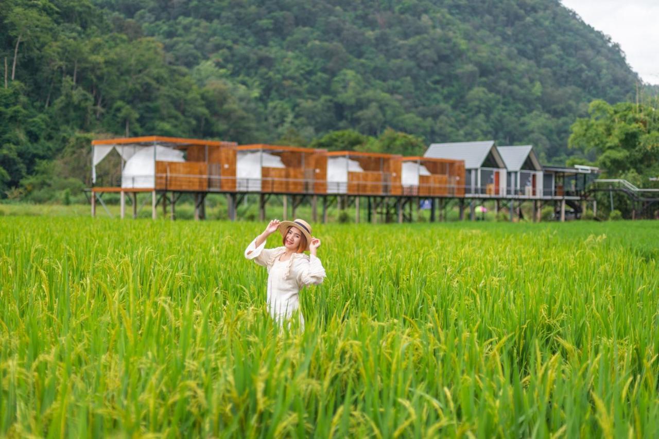 เนเจอร์วัลเล่ย์แคมป์ ปางมะผ้า Hotel Buitenkant foto