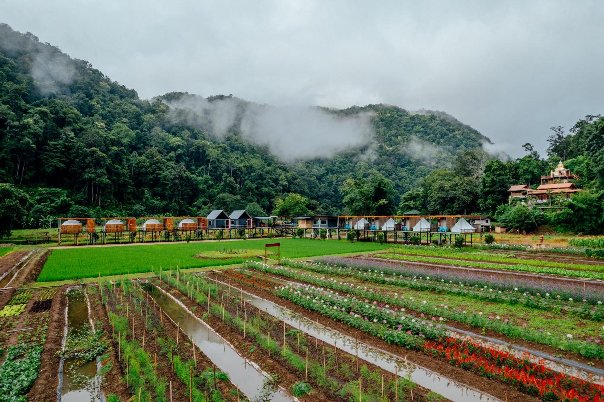 เนเจอร์วัลเล่ย์แคมป์ ปางมะผ้า Hotel Buitenkant foto