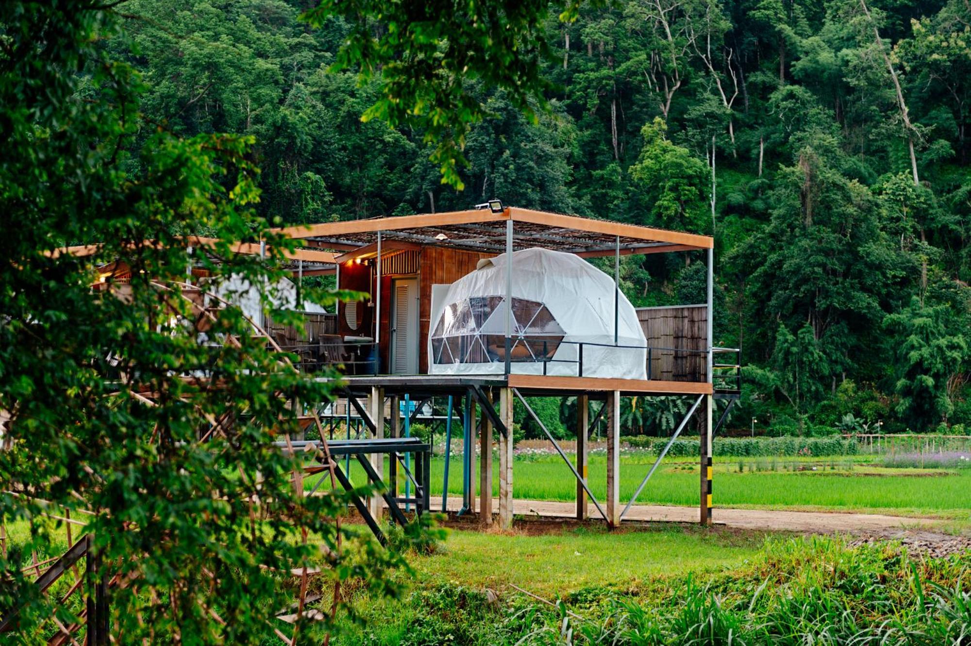 เนเจอร์วัลเล่ย์แคมป์ ปางมะผ้า Hotel Buitenkant foto